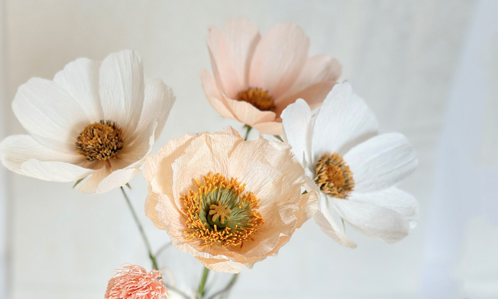 Fleurs de pavot en papier crêpé